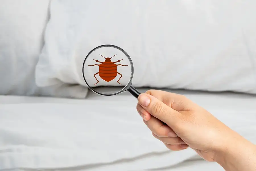 Bug Remover