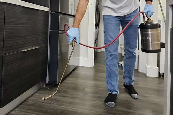Cockroach Control