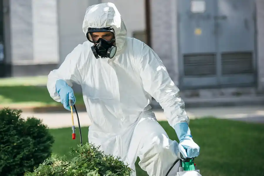 Insect Control